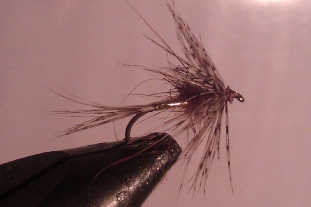 Fiche de montage : March Brown Noyée
