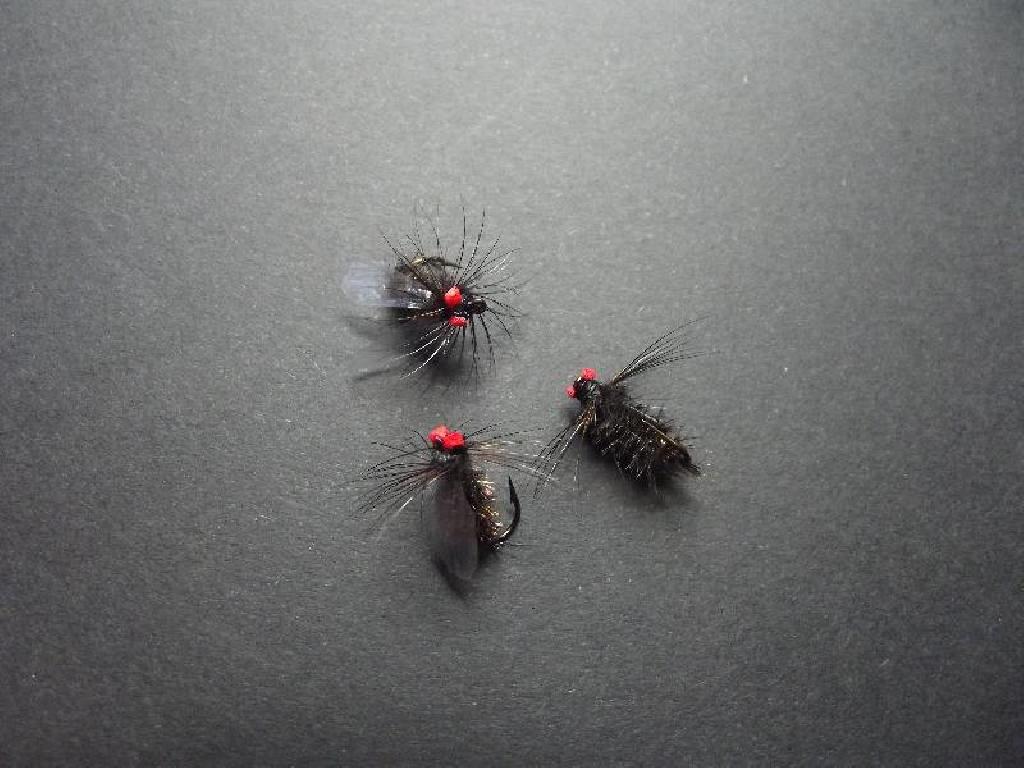 Fiche de montage : Mouche Tsé-tsé