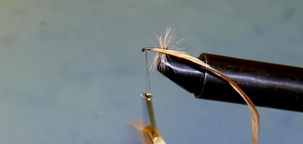 Montage de mouche