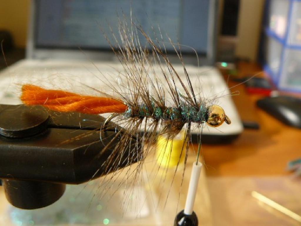 Montage de mouche
