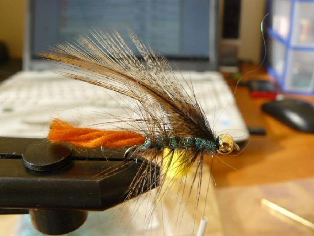 Montage de mouche