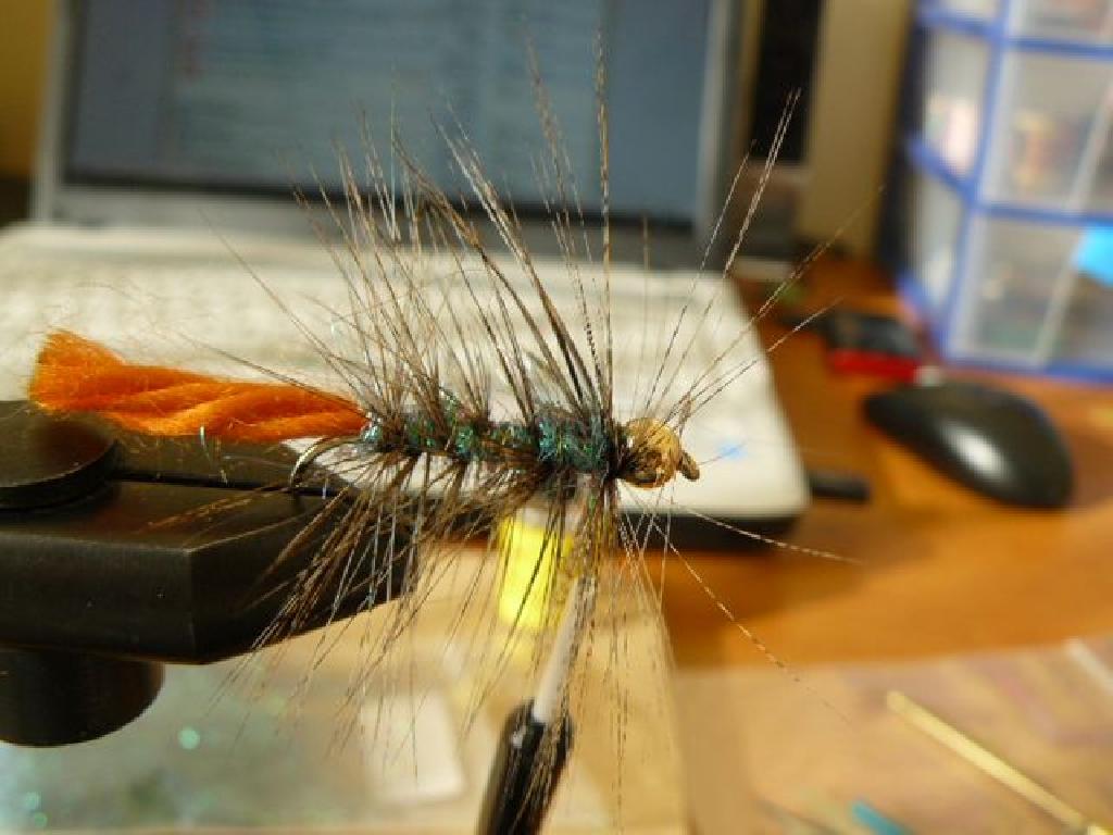 Montage de mouche