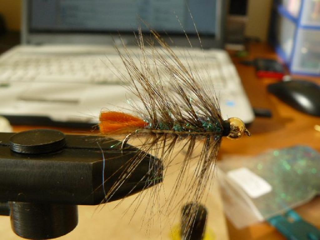 Montage de mouche