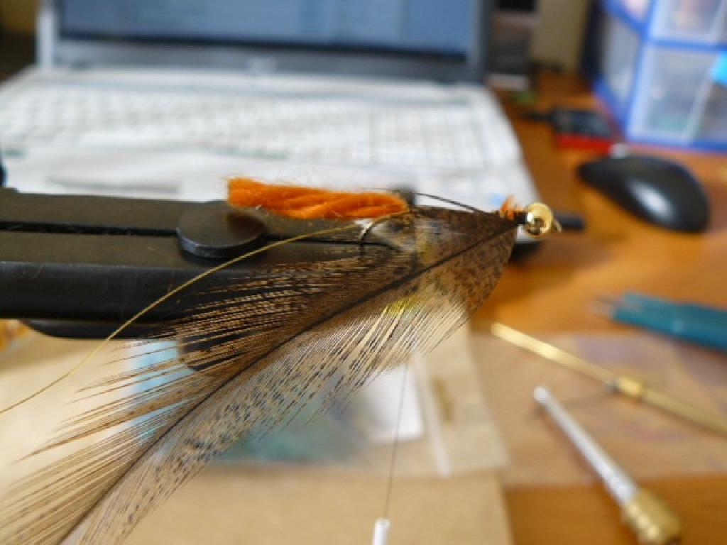 Montage de mouche