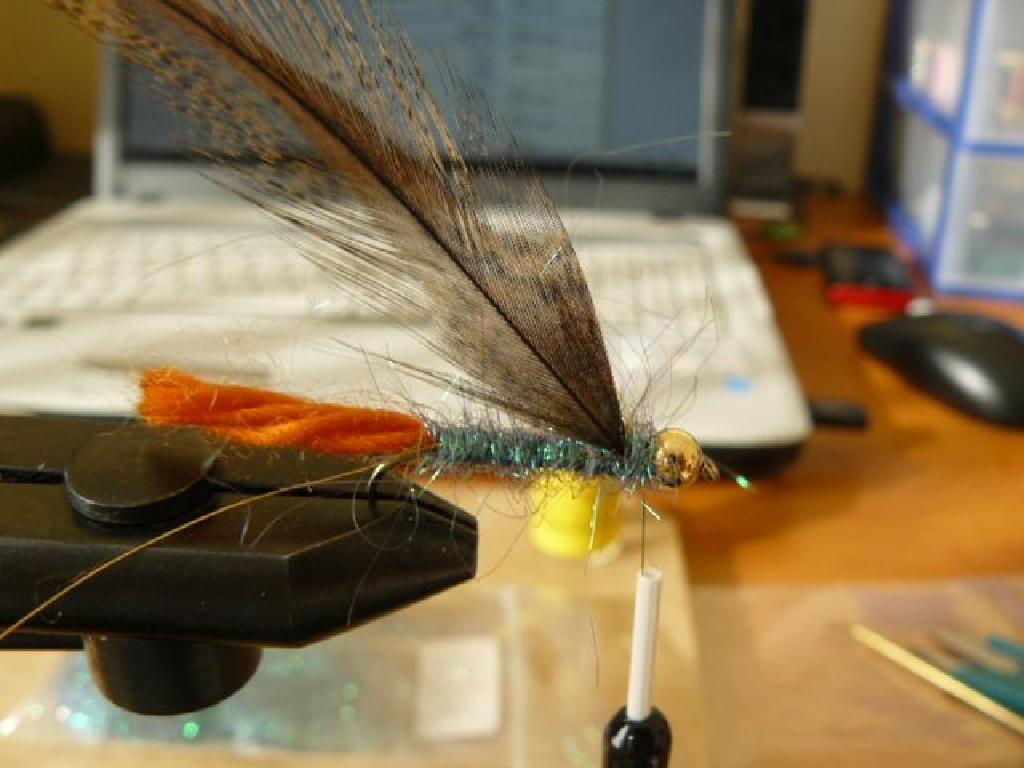 Montage de mouche