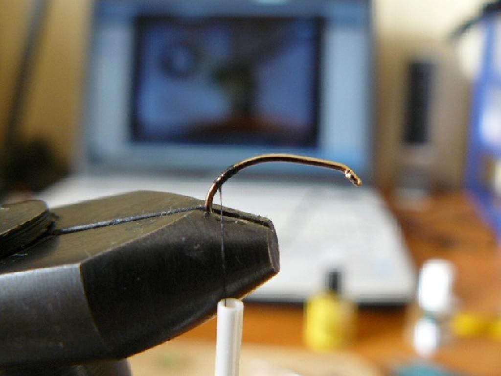 Montage de mouche