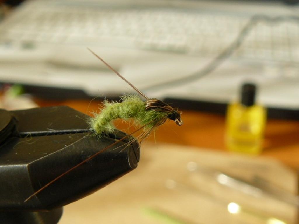Montage de mouche