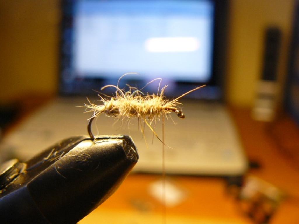 Montage de mouche