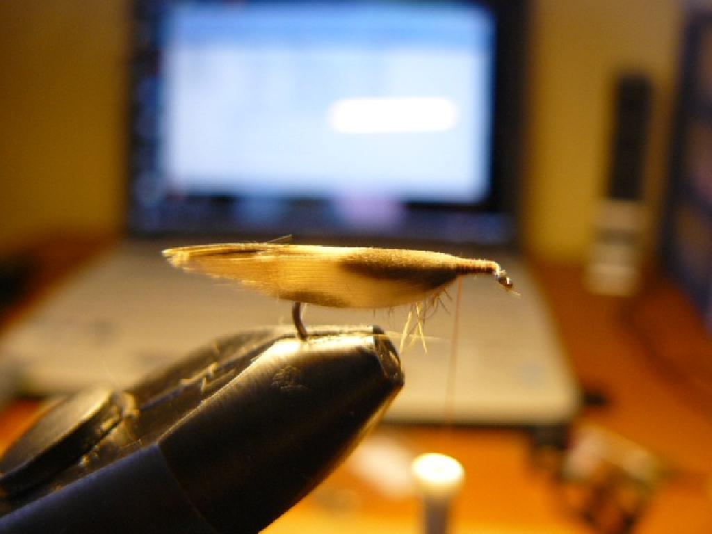 Montage de mouche