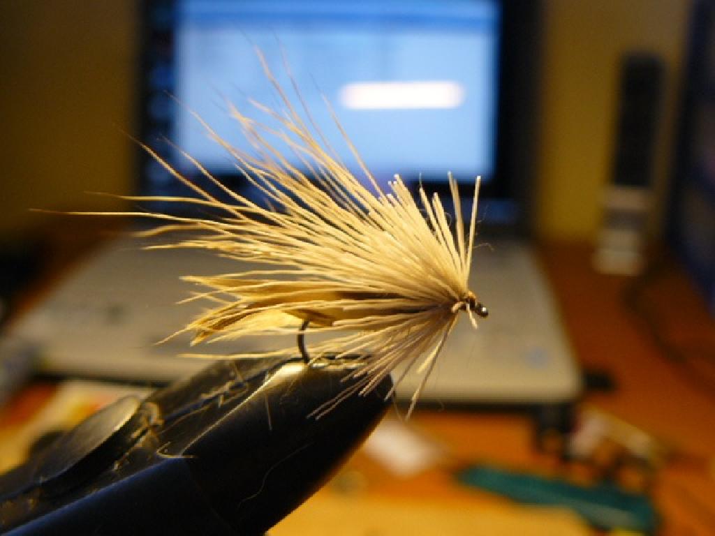 Montage de mouche
