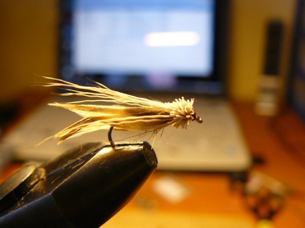 Montage de mouche