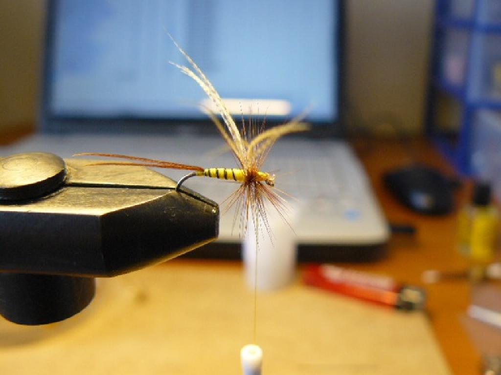 Montage de mouche