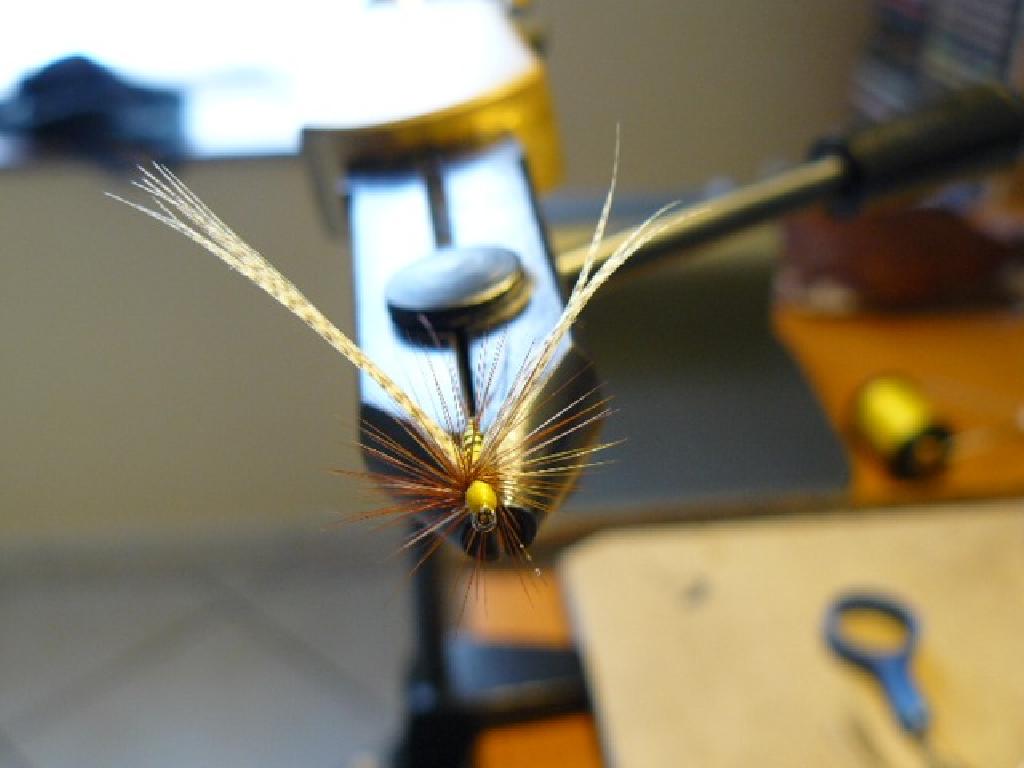 Montage de mouche