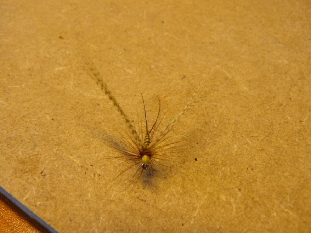 Montage de mouche