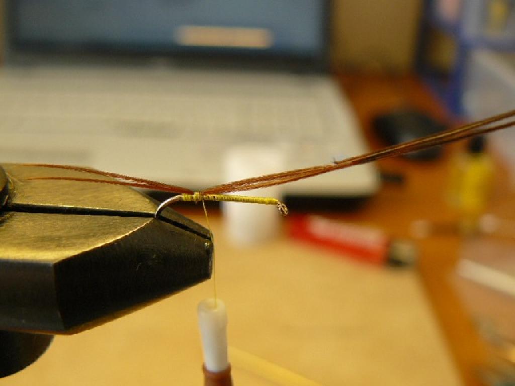 Montage de mouche