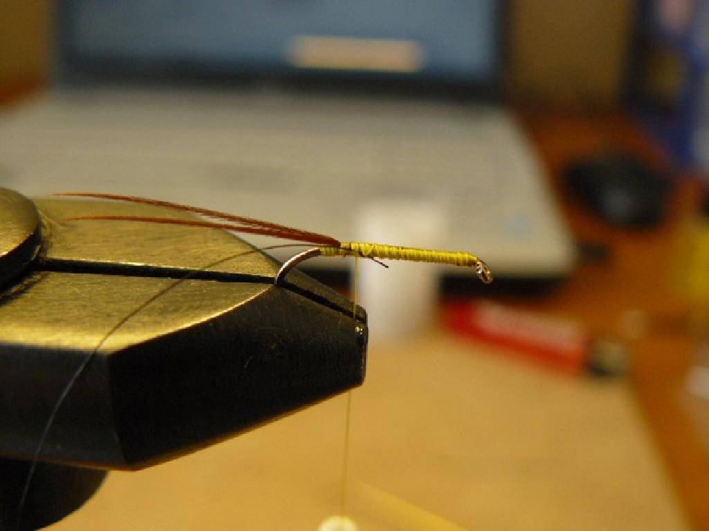 Montage de mouche