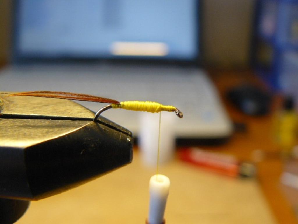 Montage de mouche