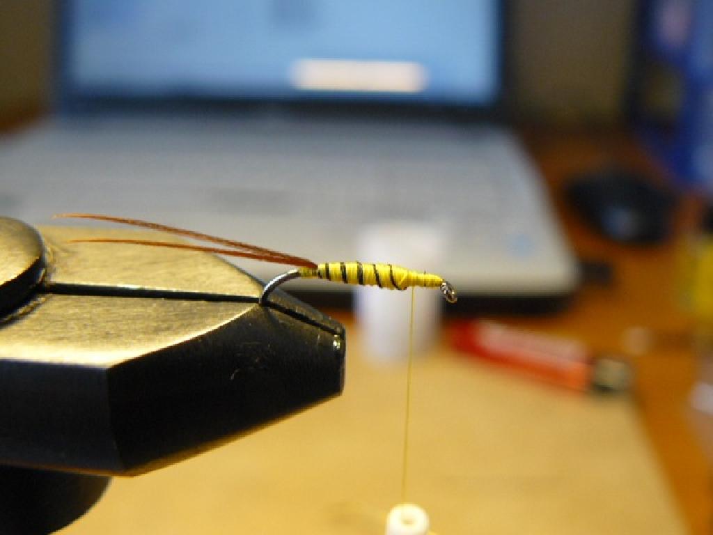 Montage de mouche