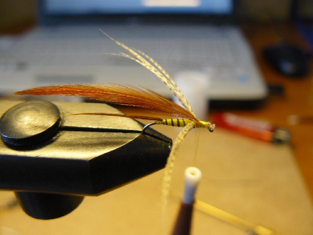 Montage de mouche