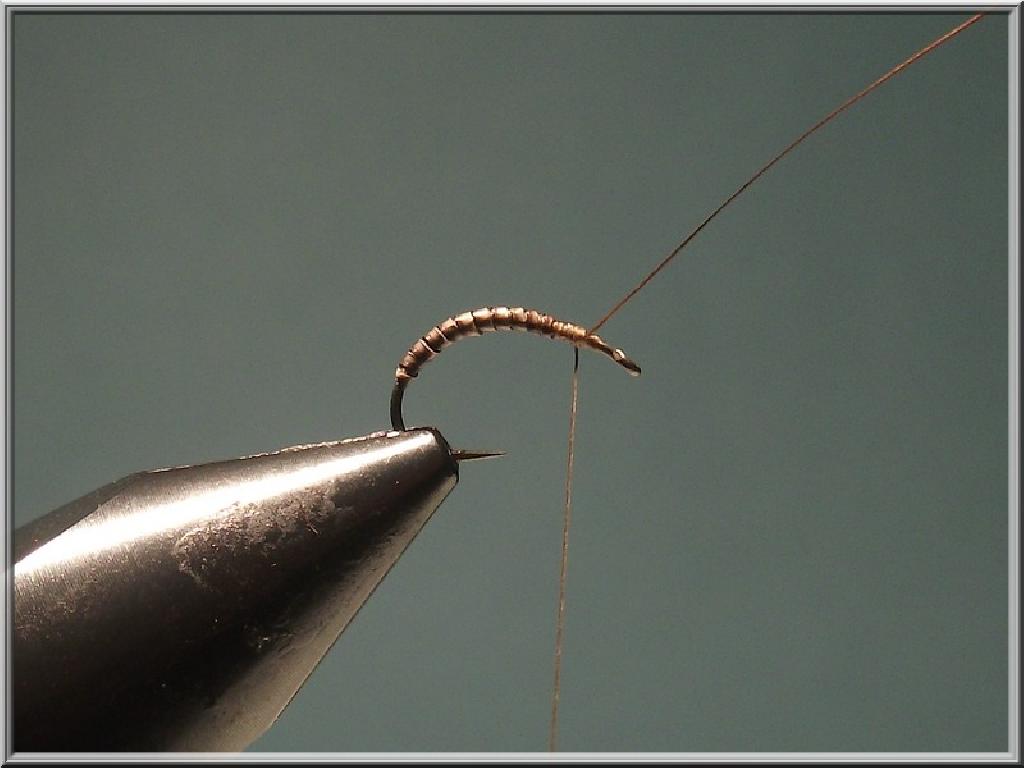 Montage de mouche