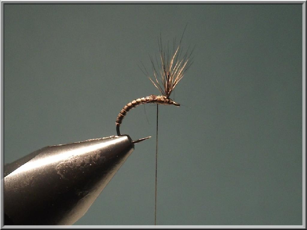 Montage de mouche