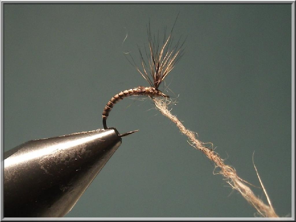 Montage de mouche