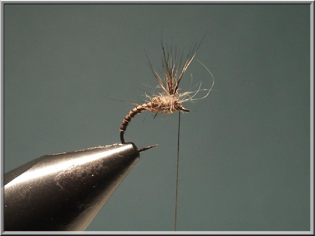 Montage de mouche