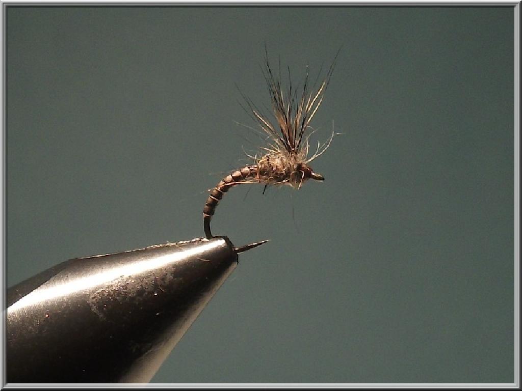 Montage de mouche
