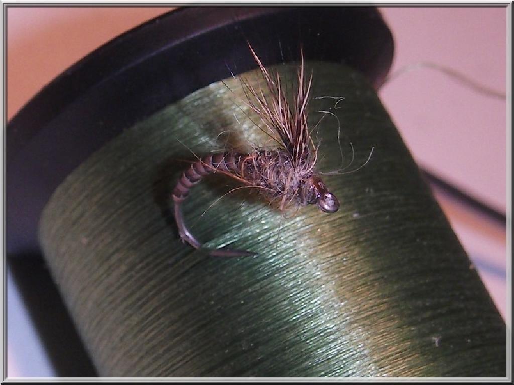 Montage de mouche