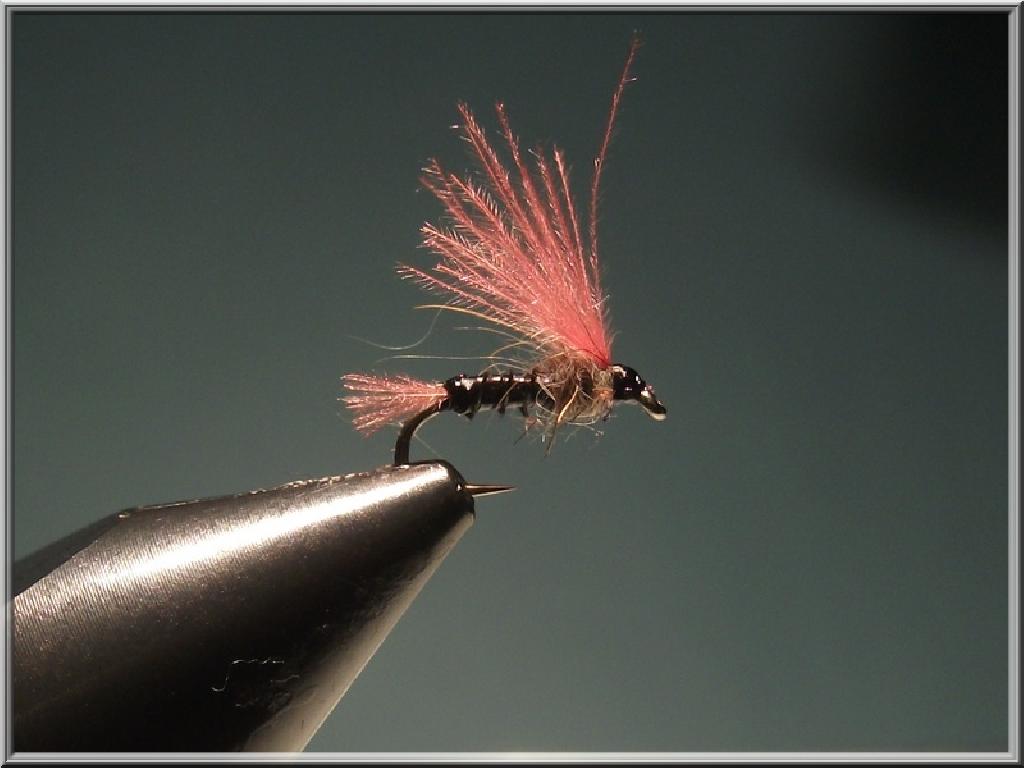 Fiche de montage : Black & Pink (cdc)