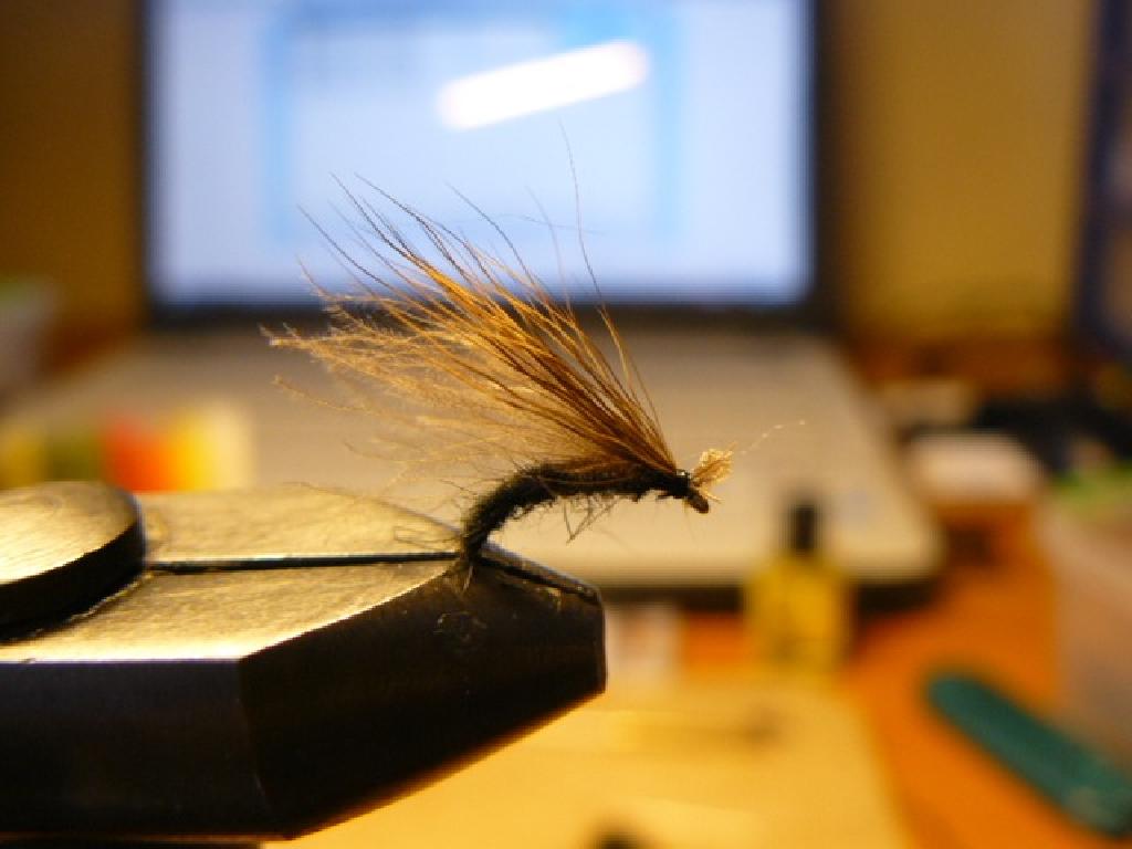 Fiche de montage : La noire caddis