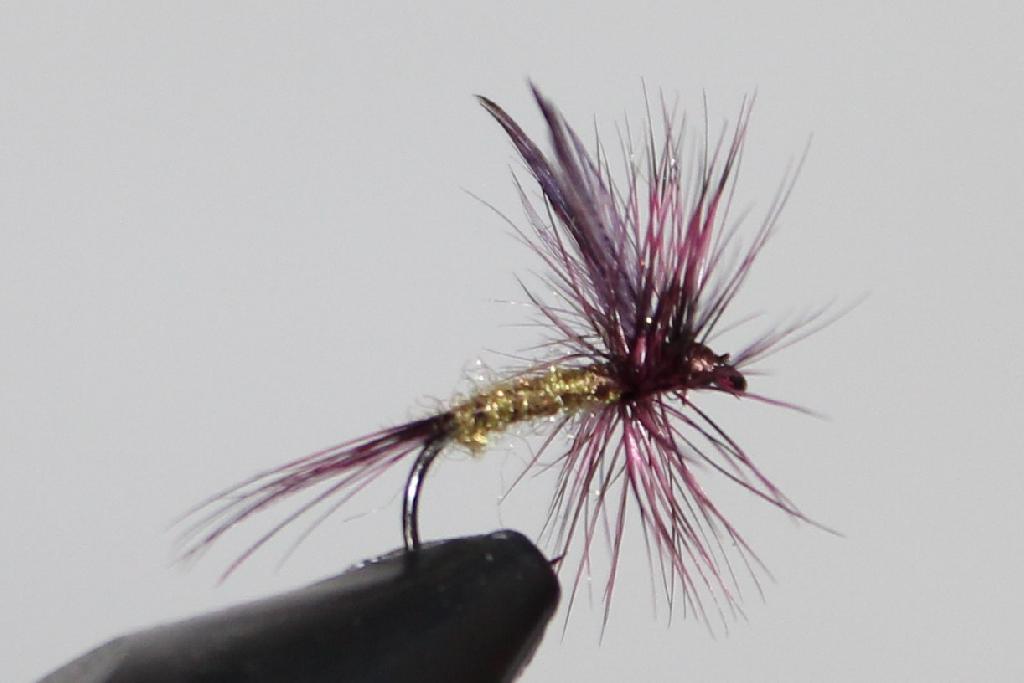 Fiche de montage : Araignée violette