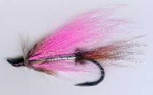 Fiche de montage : Summer steelhead