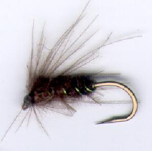 Fiche de montage : La cdc nymph