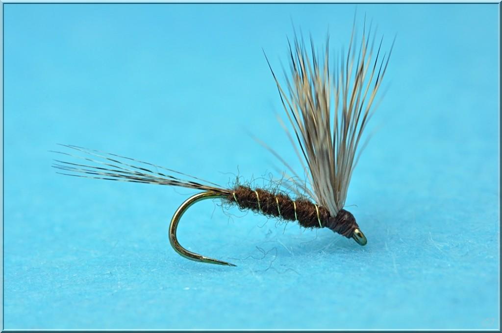 Fiche de montage : March Brown Tikawa