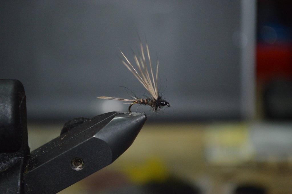 Fiche de montage : March Brown Chevreuil