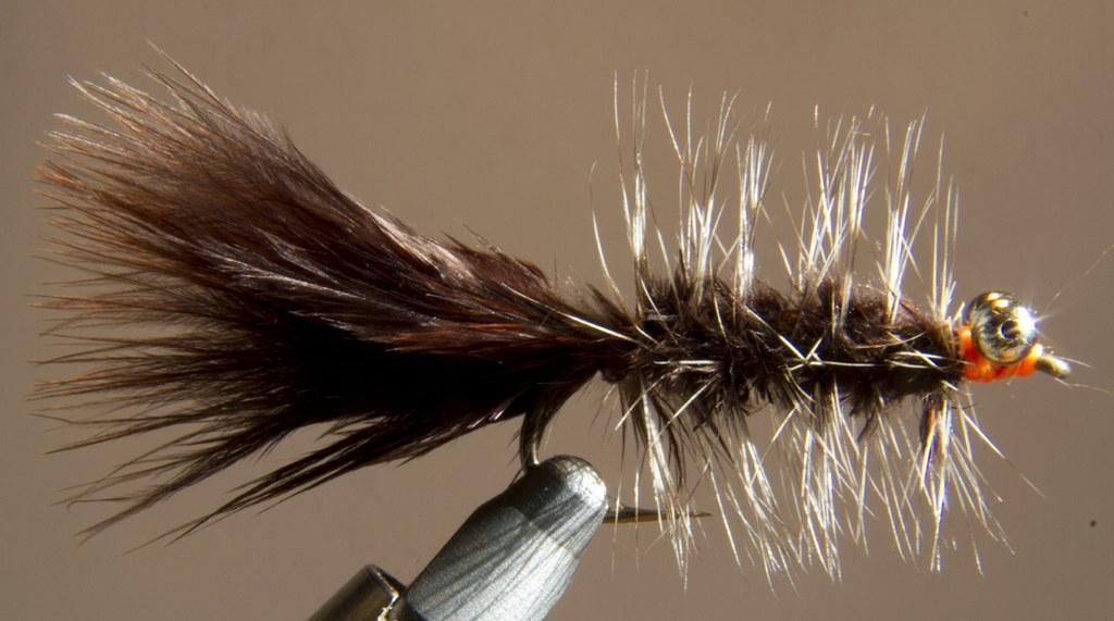 Fiche de montage : Wooly Bugger