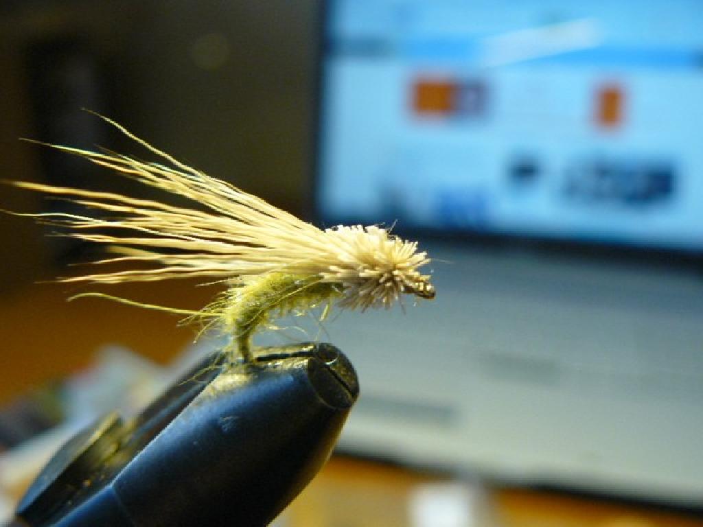 Fiche de montage : Magic Caddis