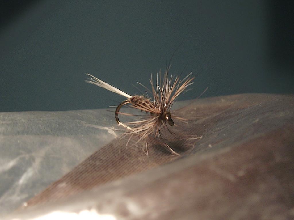 Fiche de montage : Araignée Lièvre