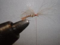 Montage de mouche