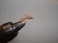 Montage de mouche