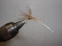 Montage de mouche