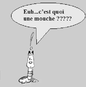 Concours de Montage de Mouches de D�cines