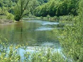 Le bonheur est dans le pré