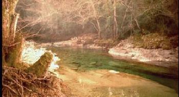 Plus assez d'eau