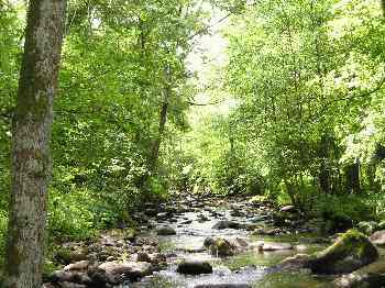 La Rouvre a Roche d'Oëtre