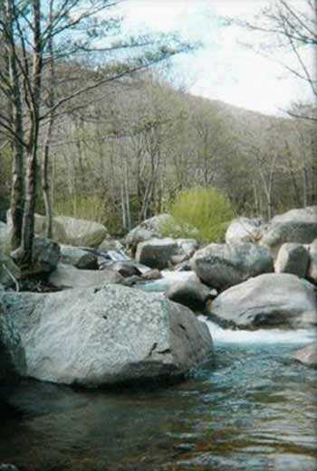 La volane � antraigue