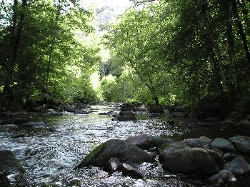La Rouvre a Roche d'Oëtre