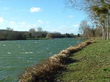 Balay� par le vent