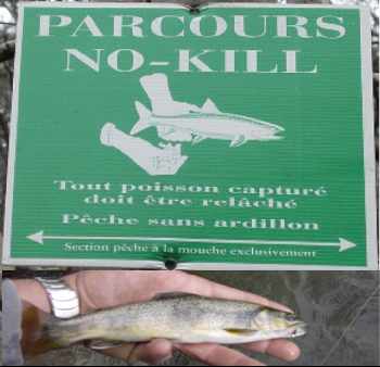 Découverte du parcours nokill